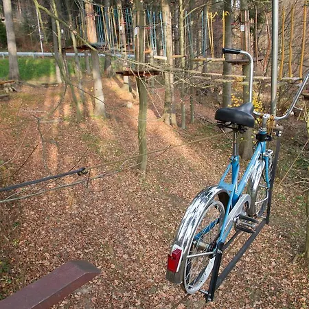 U Kabinky 4* Janské Lázně